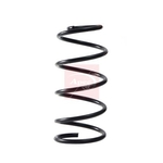 Apec Coil Spring - Front (ACS2301) Fits: Mazda