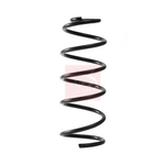 Apec Coil Spring - Front (ACS2313)