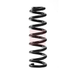 Apec Coil Spring - Front (ACS2337) Fits: Isuzu