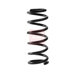 Apec Coil Spring - Front (ACS2393)