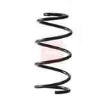 Apec Coil Spring - Front (ACS2399) Fits: Volvo