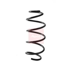 Apec Coil Spring - Front (ACS2407)