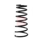 Apec Coil Spring - Front (ACS2411) Fits: Suzuki