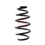 Apec Coil Spring - Front (ACS2422)