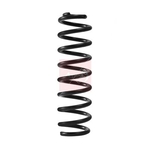 Apec Coil Spring - Front (ACS2429) Fits: Mercedes