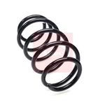Apec Coil Spring - Front (ACS2435) Fits: Nissan