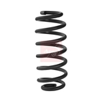 Apec Coil Spring - Rear (ACS2151)