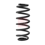 Apec Coil Spring - Rear (ACS2183)
