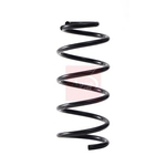 Apec Coil Spring - Rear (ACS2216) Fits: Nissan