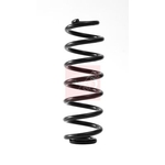 Apec Coil Spring - Rear (ACS2248) Fits: VW