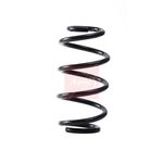 Apec Coil Spring - Rear (ACS2264) Fits: Mercedes