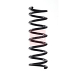 Apec Coil Spring - Rear (ACS2269) Fits: Ford