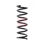 Apec Coil Spring - Rear (ACS2279) Fits: Volvo