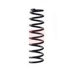 Apec Coil Spring - Rear (ACS2283) Fits: Mitsubishi