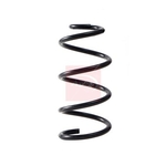 Apec Coil Spring - Rear (ACS2287) Fits: Nissan