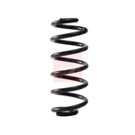 Apec Coil Spring - Rear (ACS2291) Fits: BMW