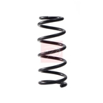 Apec Coil Spring - Rear (ACS2296) Fits: Honda