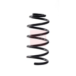 Apec Coil Spring - Rear (ACS2305) Fits: Vauxhall