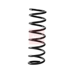 Apec Coil Spring - Rear (ACS2312) Fits: Volvo