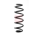 Apec Coil Spring - Rear (ACS2315)