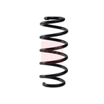 Apec Coil Spring - Rear (ACS2316) Fits: Toyota