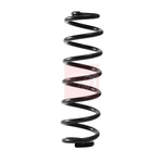 Apec Coil Spring - Rear (ACS2319) Fits: VW