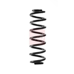 Apec Coil Spring - Rear (ACS2353)