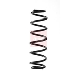 Apec Coil Spring - Rear (ACS2355)