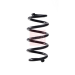 Apec Coil Spring - Rear (ACS2359)