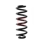 Apec Coil Spring - Rear (ACS2380)