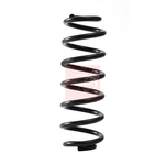 Apec Coil Spring - Rear (ACS2384) Fits: VW