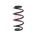 Apec Coil Spring - Rear (ACS2389) Fits: Mercedes