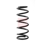 Apec Coil Spring - Rear (ACS2390) Fits: Nissan