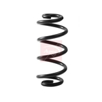 Apec Coil Spring - Rear (ACS2391)
