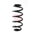 Apec Coil Spring - Rear (ACS2394)