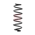 Apec Coil Spring - Rear (ACS2395)