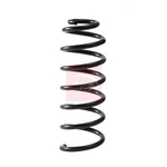 Apec Coil Spring - Rear (ACS2401)