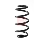 Apec Coil Spring - Rear (ACS2402) Fits: BMW