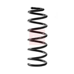 Apec Coil Spring - Rear (ACS2403)