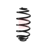 Apec Coil Spring - Rear (ACS2404)