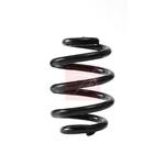 Apec Coil Spring - Rear (ACS2413)