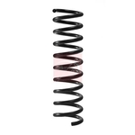 Apec Coil Spring - Rear (ACS2415) Fits: Ford