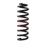 Apec Coil Spring - Rear (ACS2420) Fits: Mercedes