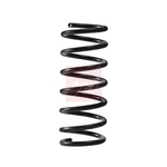 Apec Coil Spring - Rear (ACS2423) Fits: Hyundai