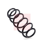 Apec Coil Spring - Rear (ACS2431)