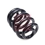 Apec Coil Spring - Rear (ACS2437) Fits: Mercedes