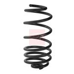 Apec Coil Spring - Rear (ACS2440)