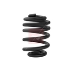 Apec Coil Spring - Rear (ACS2444)