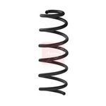 Apec Coil Spring - Rear (ACS2445) Fits: Dacia