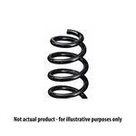 Apec Coil Spring Front (ACS2050)